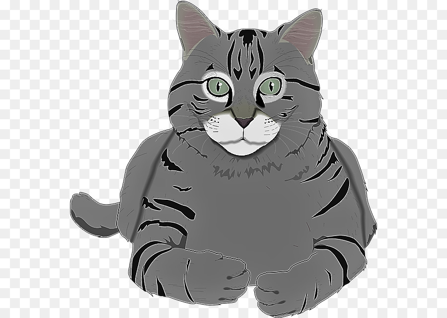 Chat，Animal De Compagnie PNG