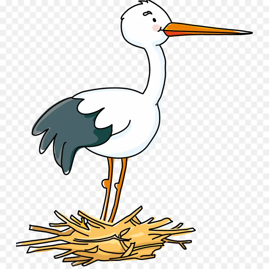 Cigogne，Animal Kid Pages à Colorier PNG