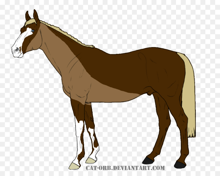 Mule，Cheval PNG