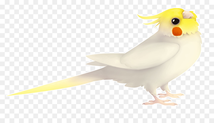 Oiseau Jaune，Perche PNG