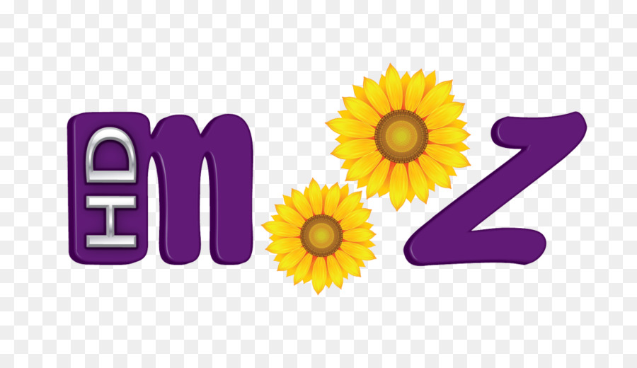 Commune De Tournesol，Mooz Hd PNG