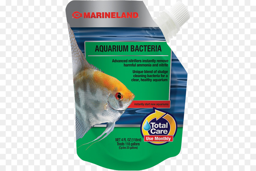 Marineland，Aquarium PNG