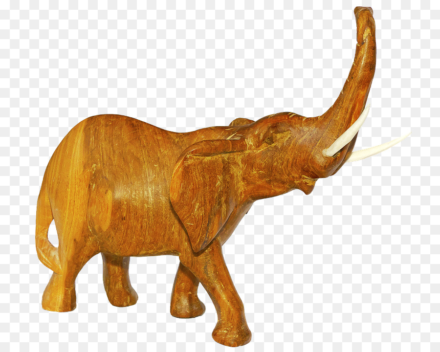 Bois，L éléphant D Afrique PNG