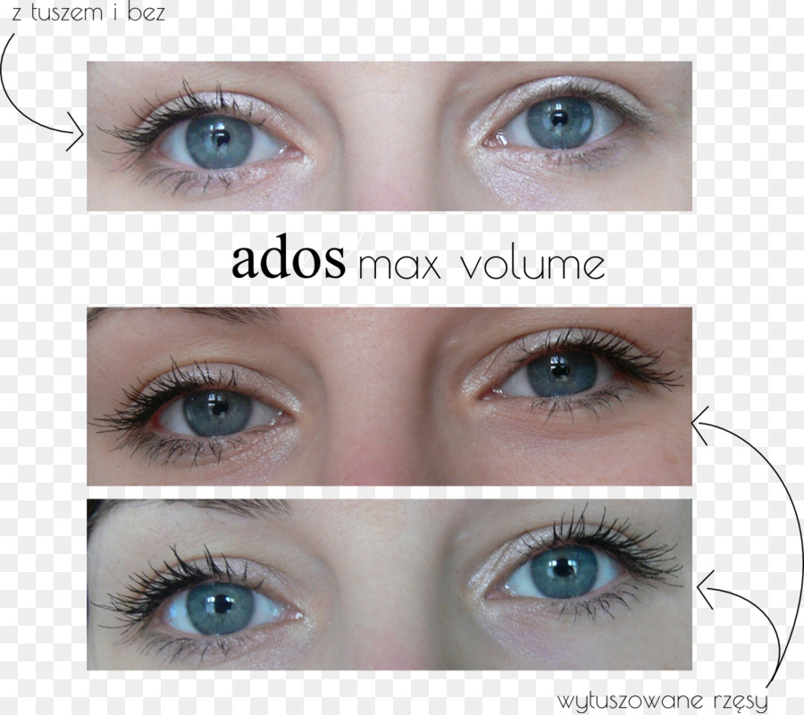 Extensions De Cils，L Ombre à Paupières PNG