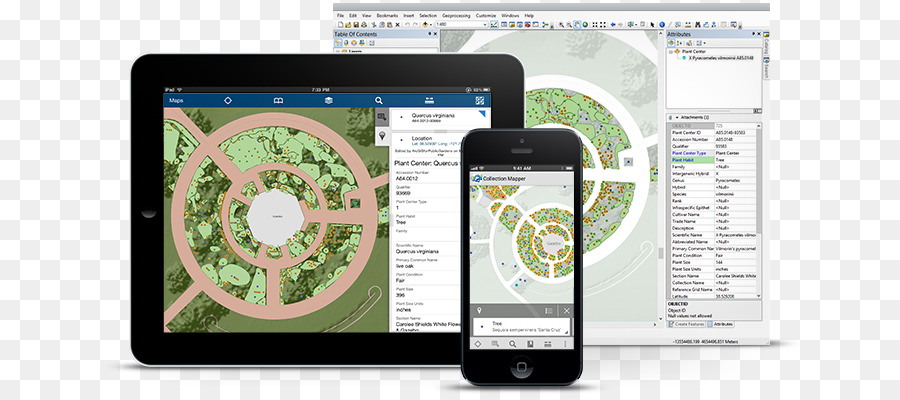 Arcgis，Système D Information Géographique PNG