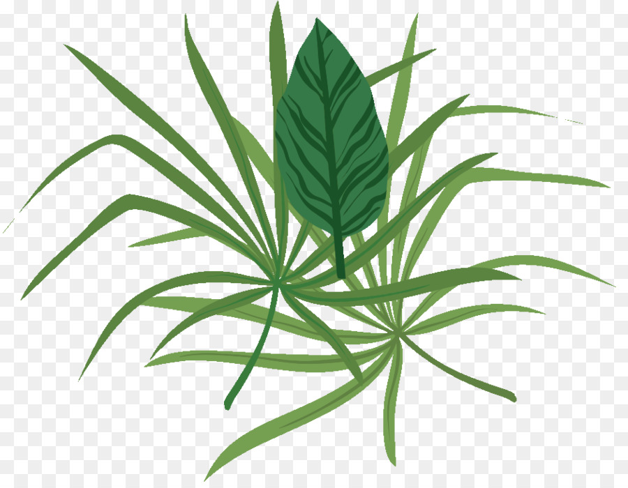 Herbe，Vert PNG