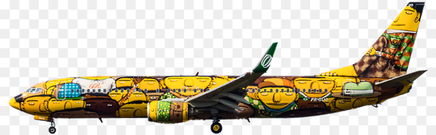 Boeing 737，Avion PNG