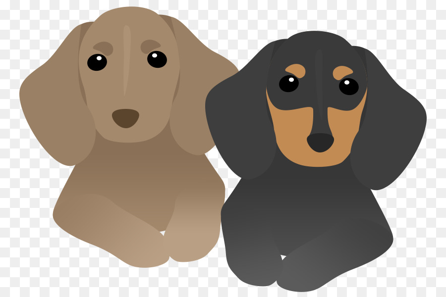 Chiens Teckel Mignons，Animaux De Compagnie PNG