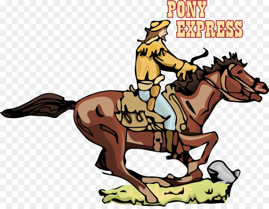 Mustang，Poney PNG