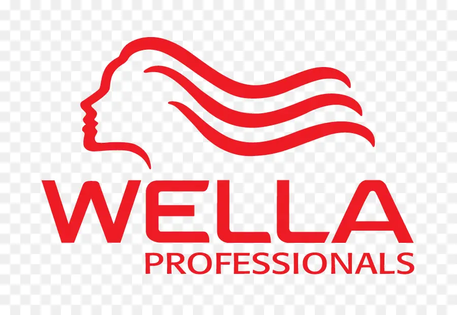 Professionnels Wella，Soins Capillaires PNG