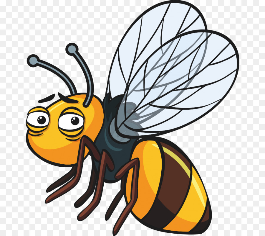 Abeille，Miel PNG