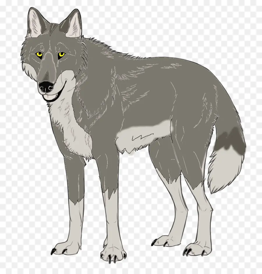 Saarloos Loup，Chien Loup Tchécoslovaque PNG