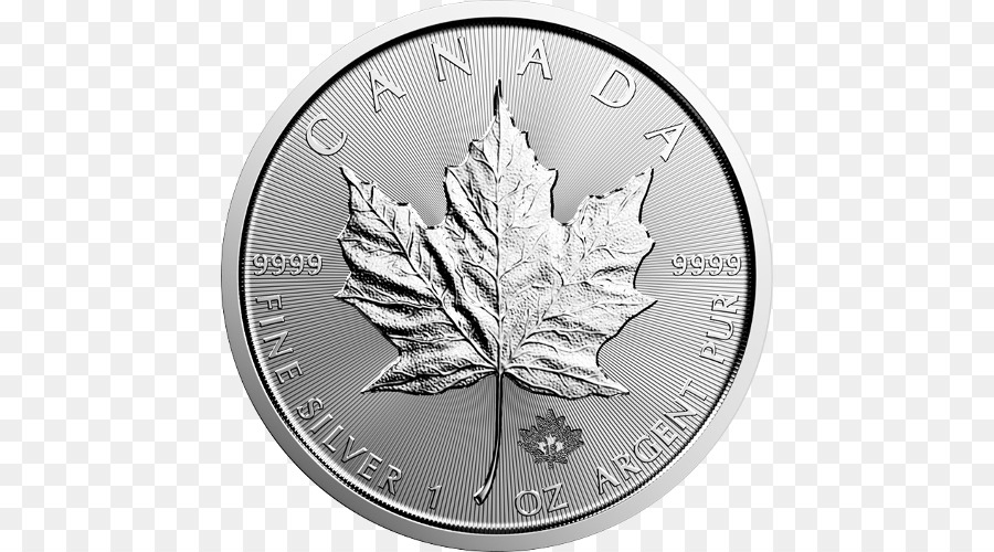 Pièce D'argent Canadienne，Devise PNG