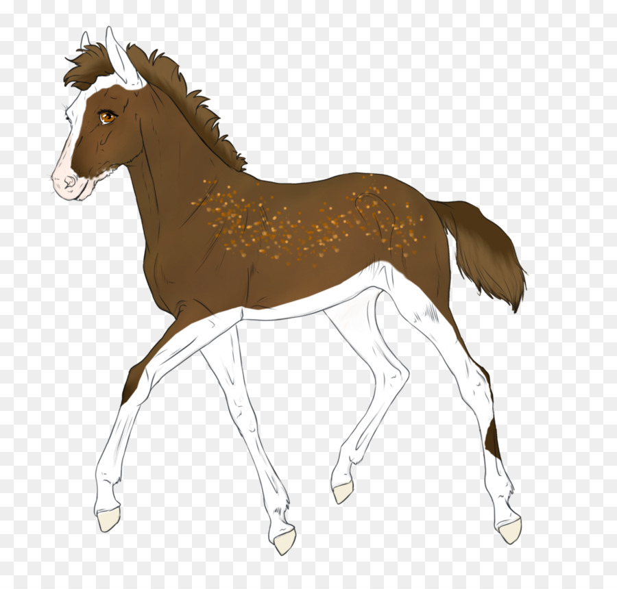 Cheval，équidé PNG