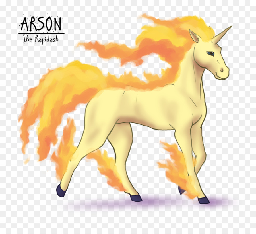 Mustang，Licorne PNG