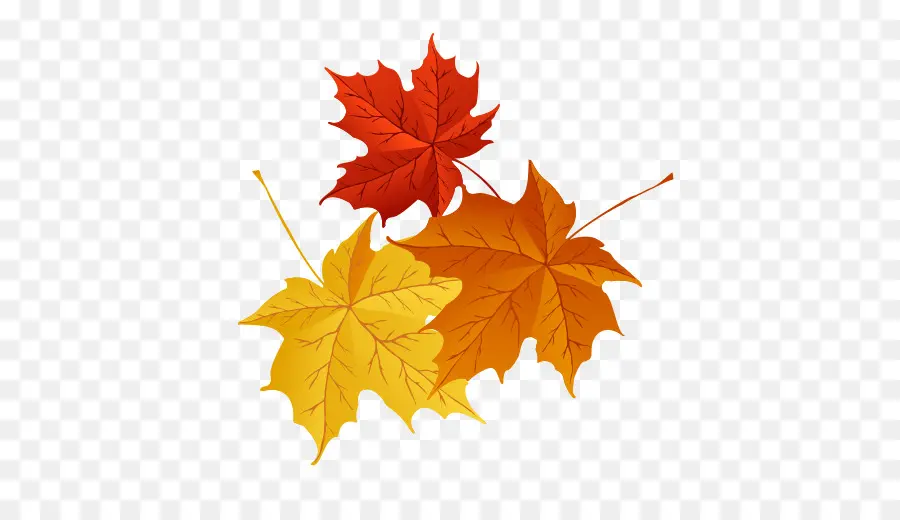 Feuilles D'automne，Automne PNG