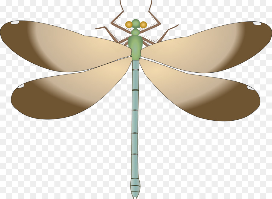 Papillon De Dessin Animé，Ailes PNG