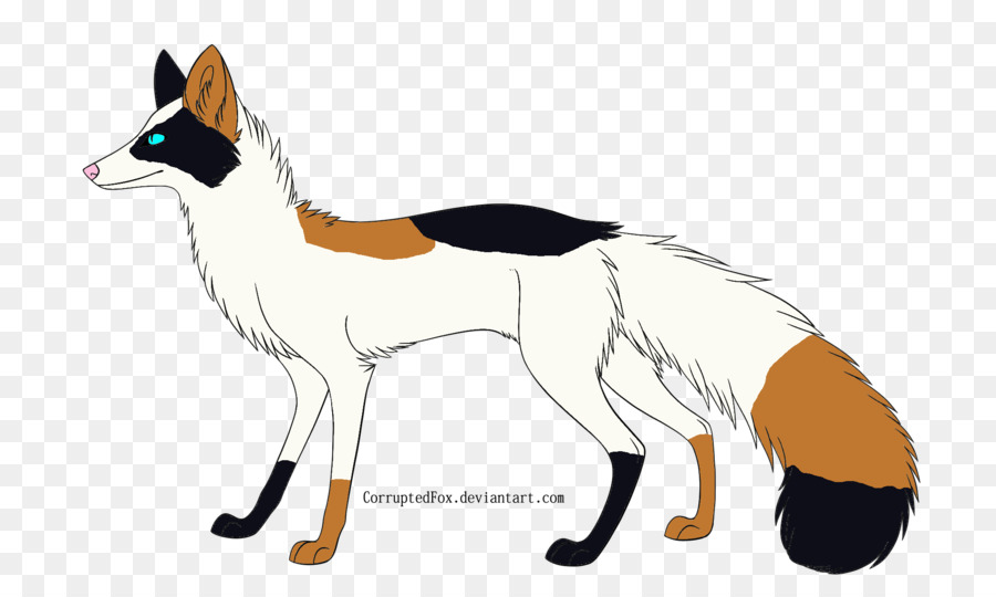 Renard Rouge，Chien PNG