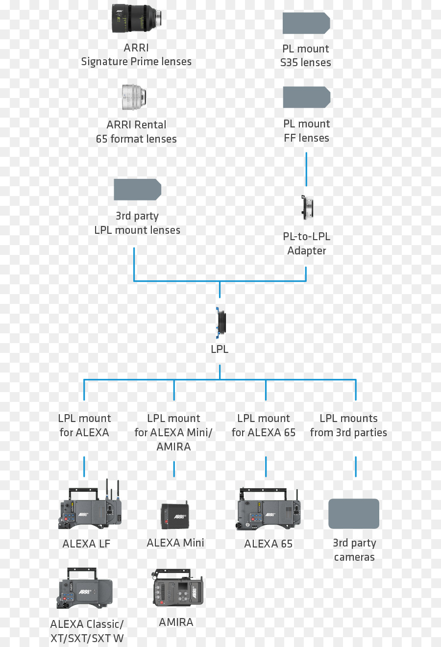 Arri Pl，Arri PNG