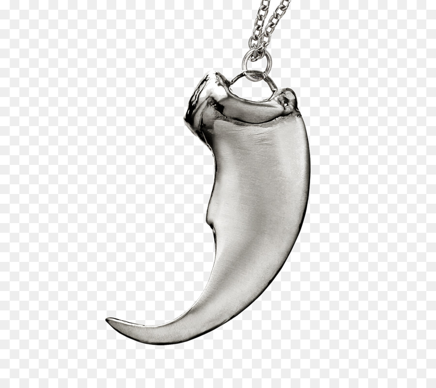 Charms Pendentifs，Collier PNG