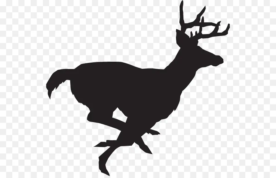 Silhouette De Cerf，Bois PNG