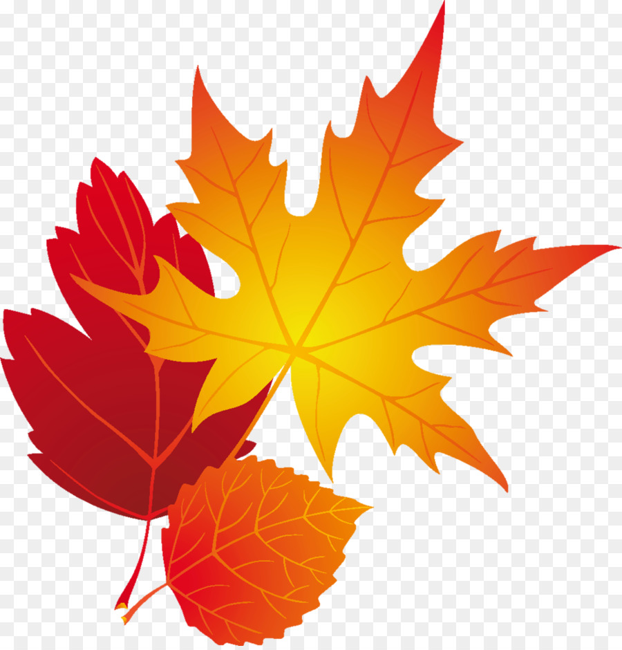 Couleur De Feuille D'automne，Automne PNG