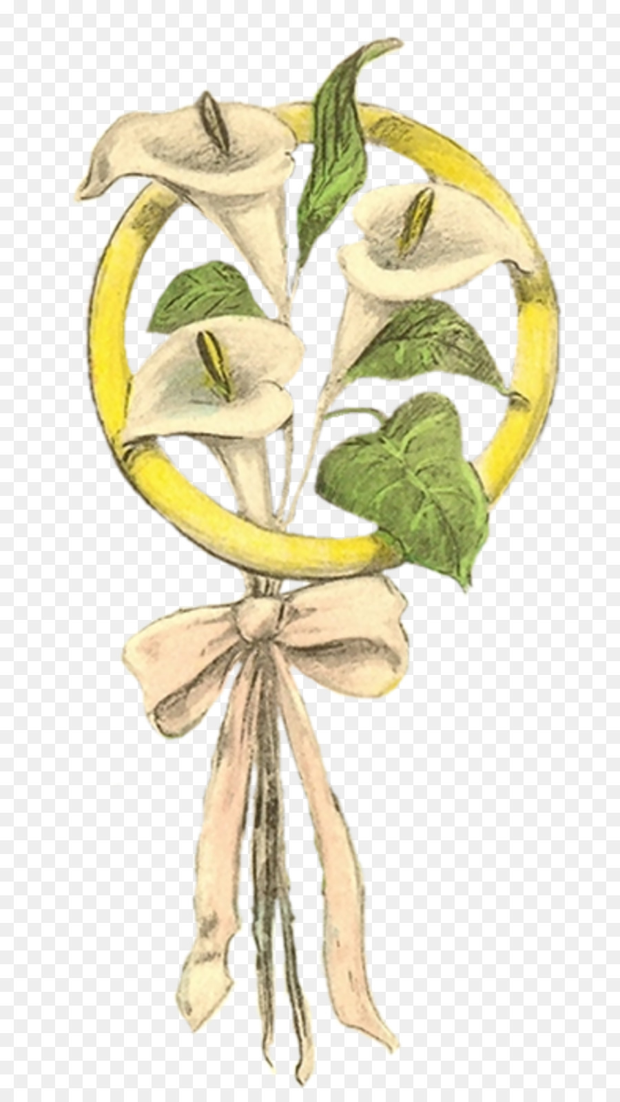 Tige Végétale，Fleur PNG