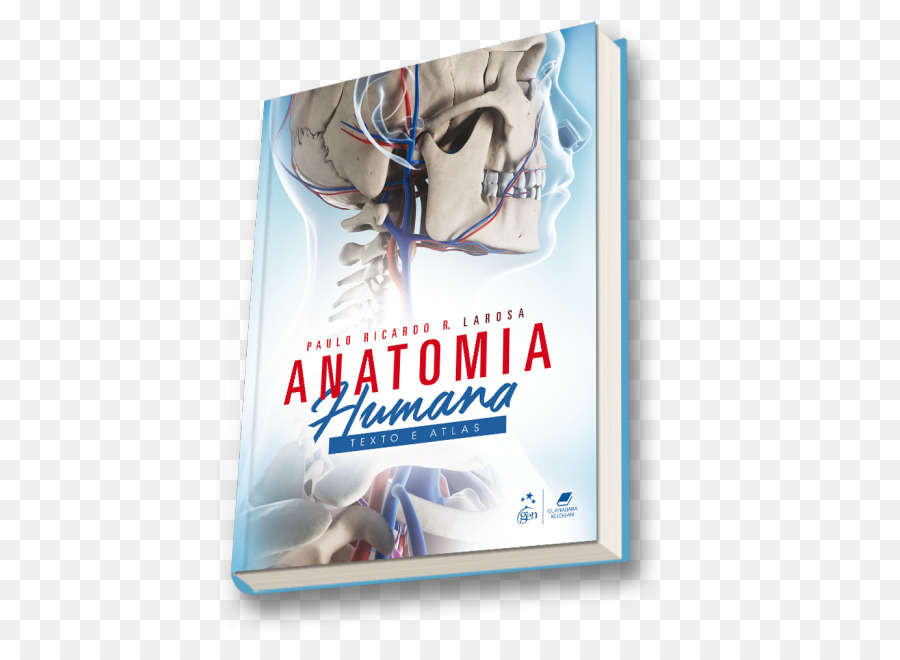 Anatomie Humaine Texte Et Atlas，Principes D Anatomie De L Homme De L Atlas Et Du Texte PNG