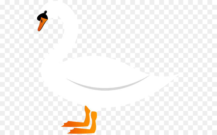 Canard，Oie PNG