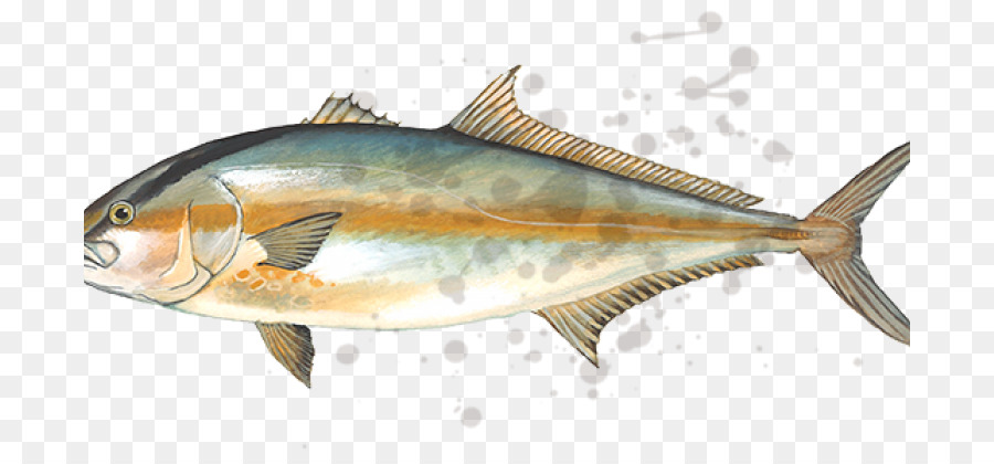 Poisson，Mer PNG