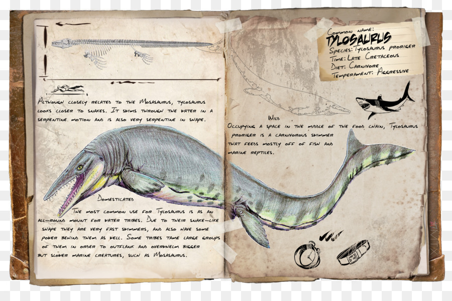 Arche De Survie évolué，Tylosaurus PNG