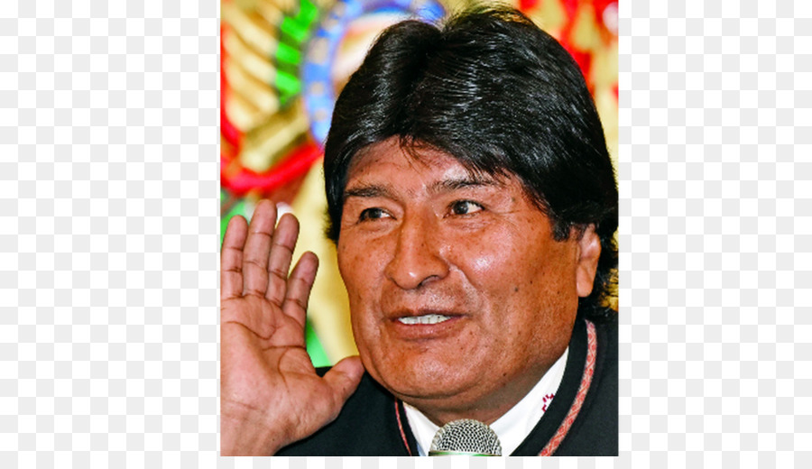 La Bolivie，Référendum PNG
