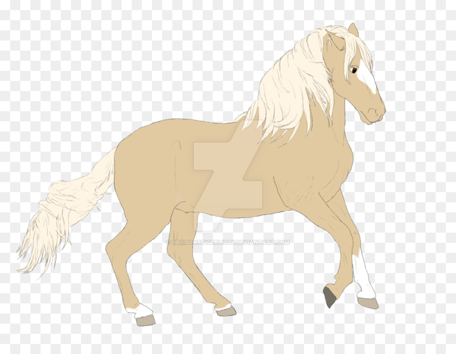 Cheval De Dessin Animé，Poney PNG