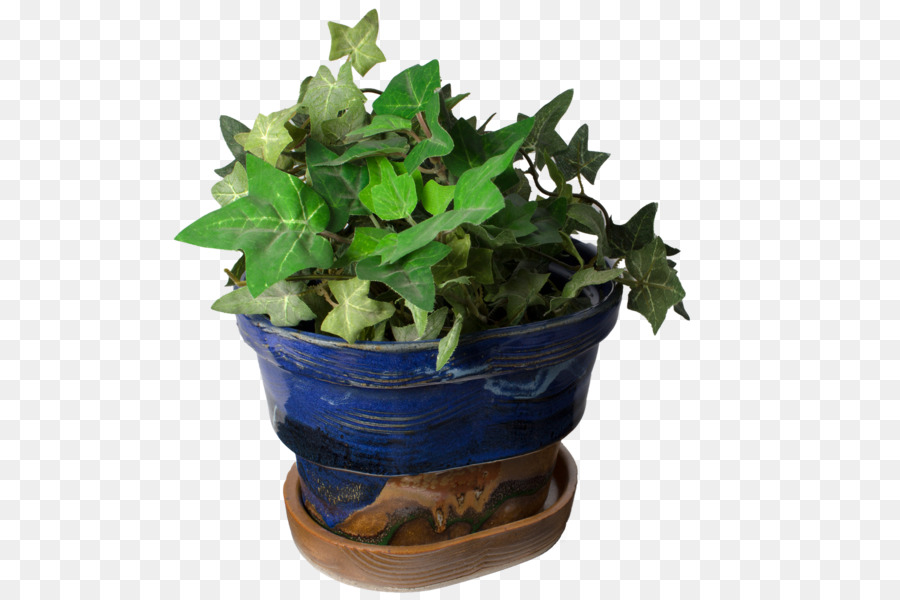 Printemps Verts，Flowerpot PNG