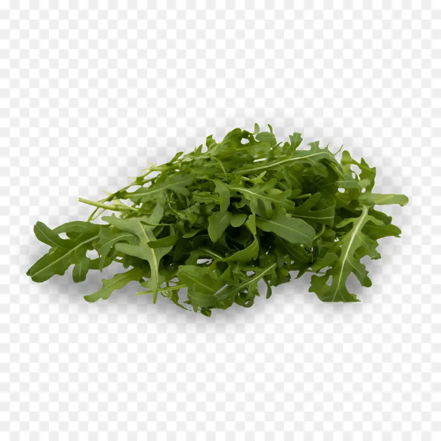 Roquette，Légumes Verts PNG