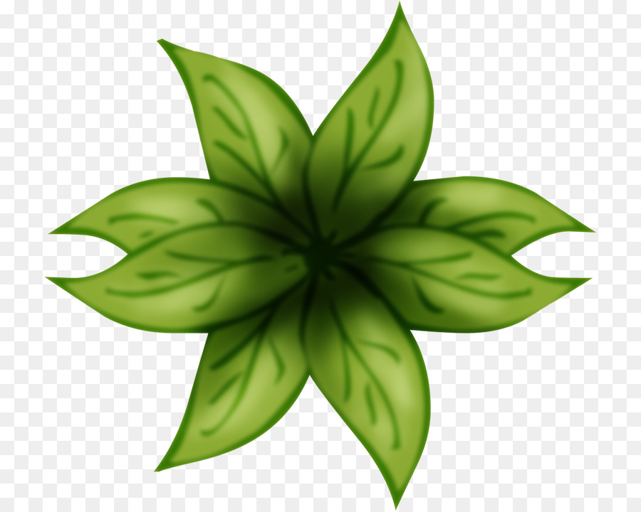 Feuille，Vert PNG