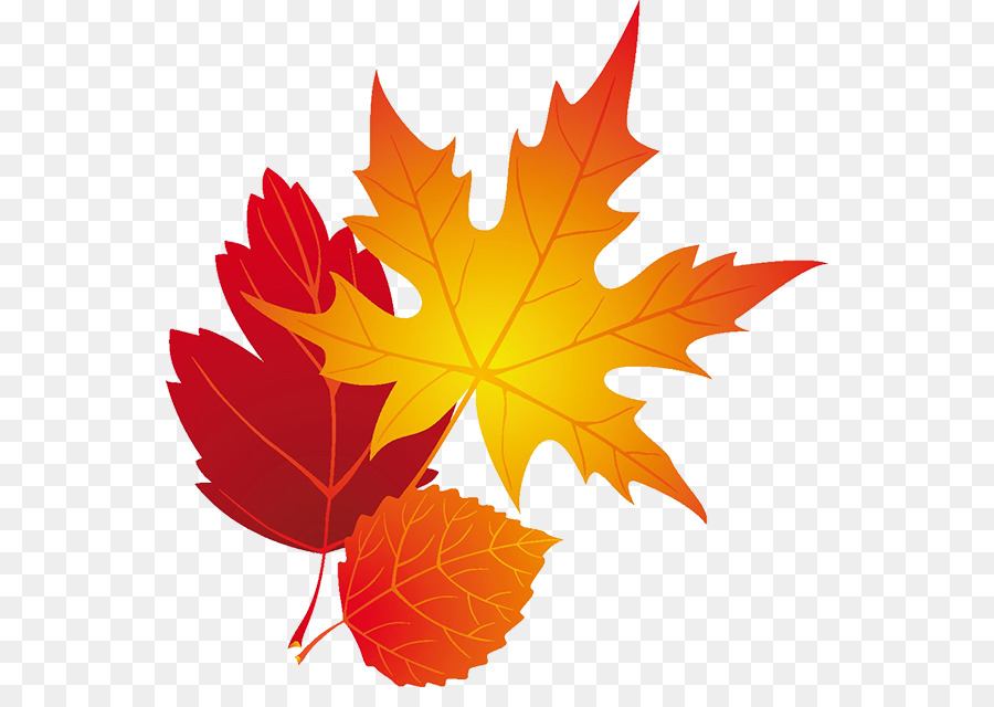 Feuilles D'automne，Automne PNG