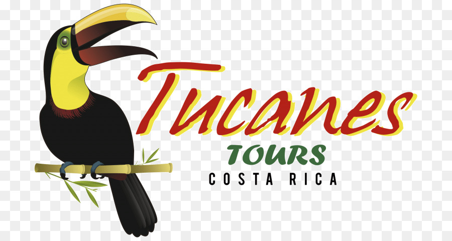 Le Toucan，Ford PNG