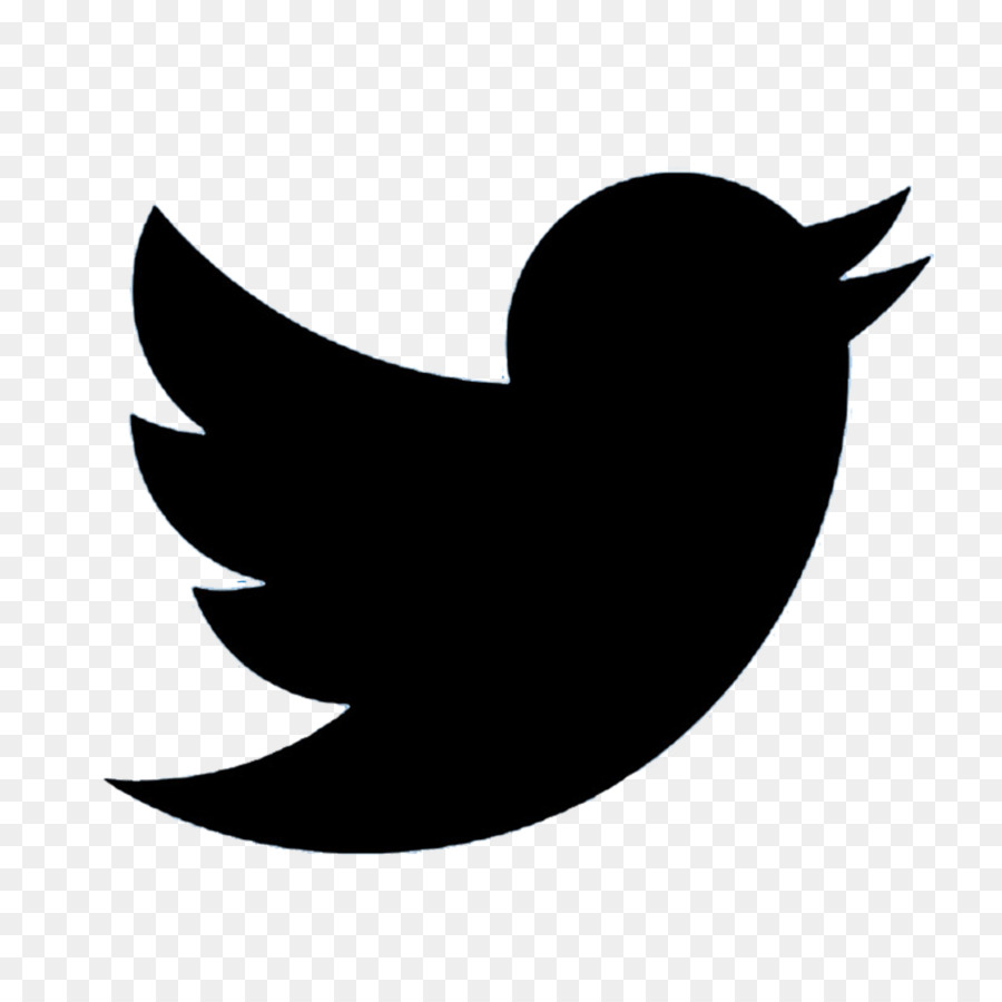 Logo Twitter，Oiseau PNG