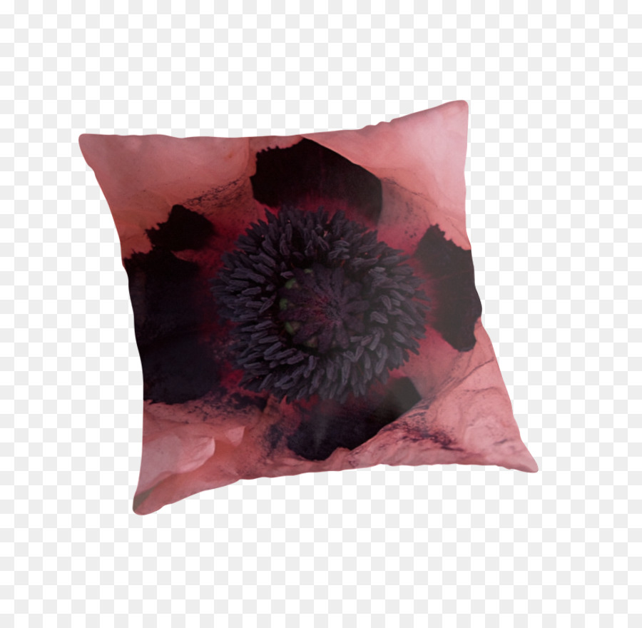 Coussin，Les Coussins PNG