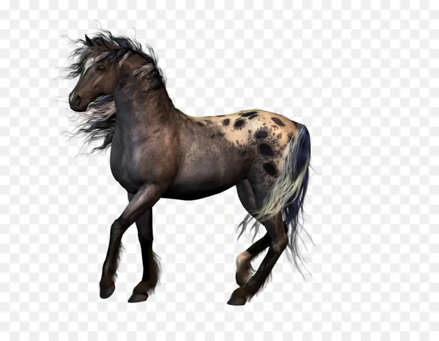 Cheval，équidé PNG