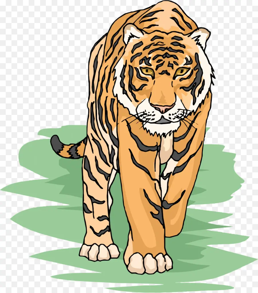 Tigre Du Bengale，Tigre De Sibérie PNG