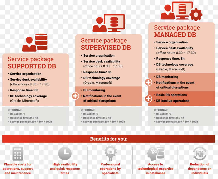 Infographie Du Package De Services，Service PNG