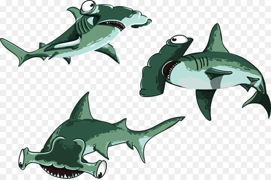 Requin Le Requin Marteau Les Poissons Png Requin Le Requin Marteau Les Poissons Transparentes Png Gratuit