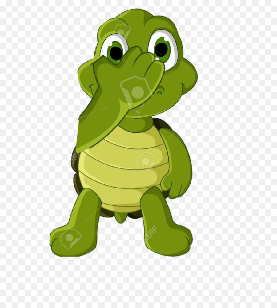 Tortue De Dessin Animé，Mignon PNG