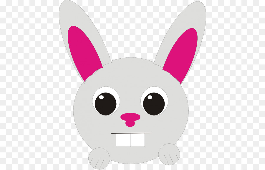 Visage De Lapin，Mignon PNG