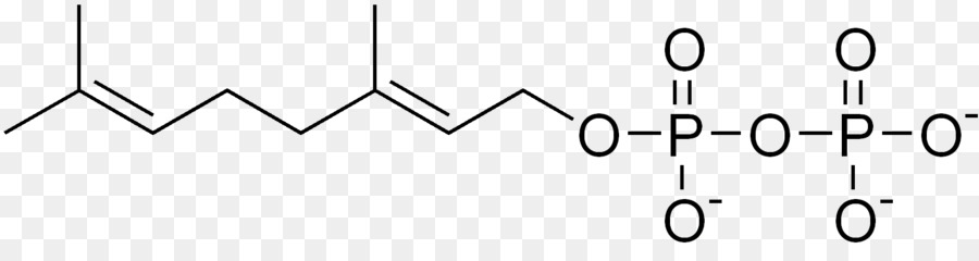 Farnésyl Pyrophosphate，Pyrophosphate PNG