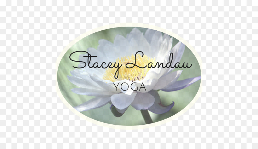 Stacey Landau，Yoga PNG
