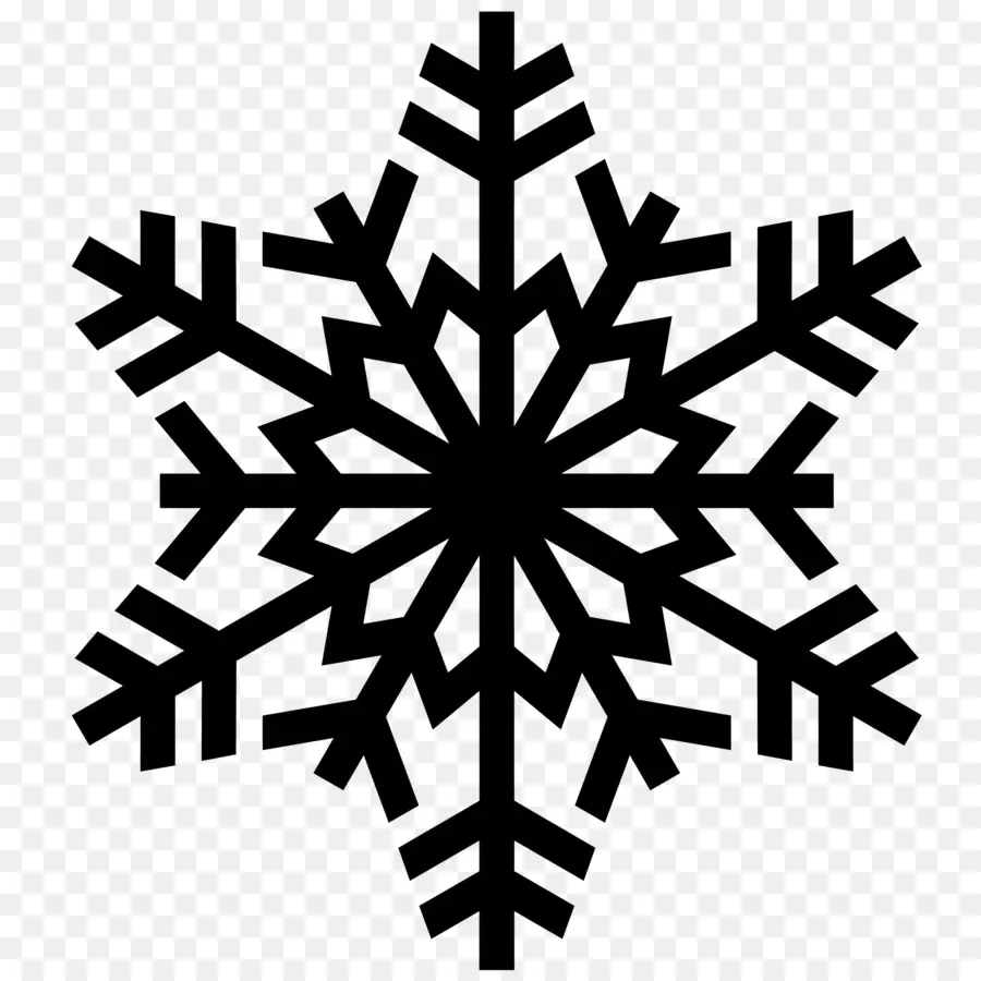 Flocon De Neige，Hiver PNG