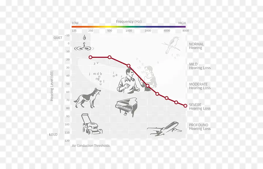 Tableau De Perte Auditive，Fréquence PNG